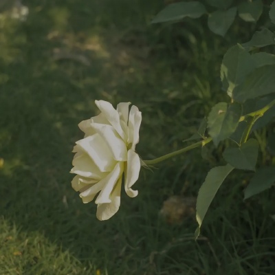 簡重新